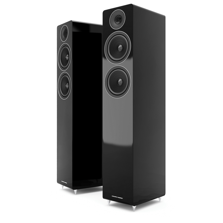 ACOUSTIC ENERGY AE309